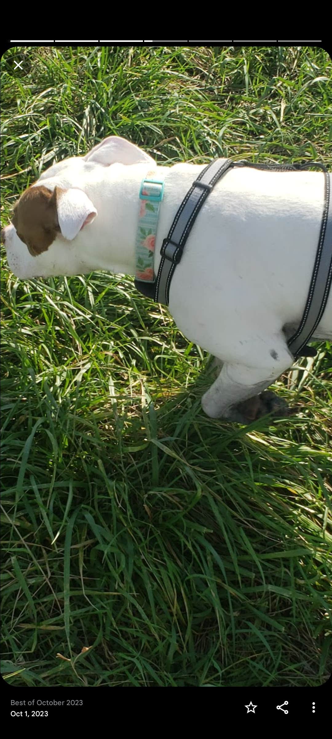 Camper-submitted photo at Brewer Lake Rec Area near West Fargo, ND
