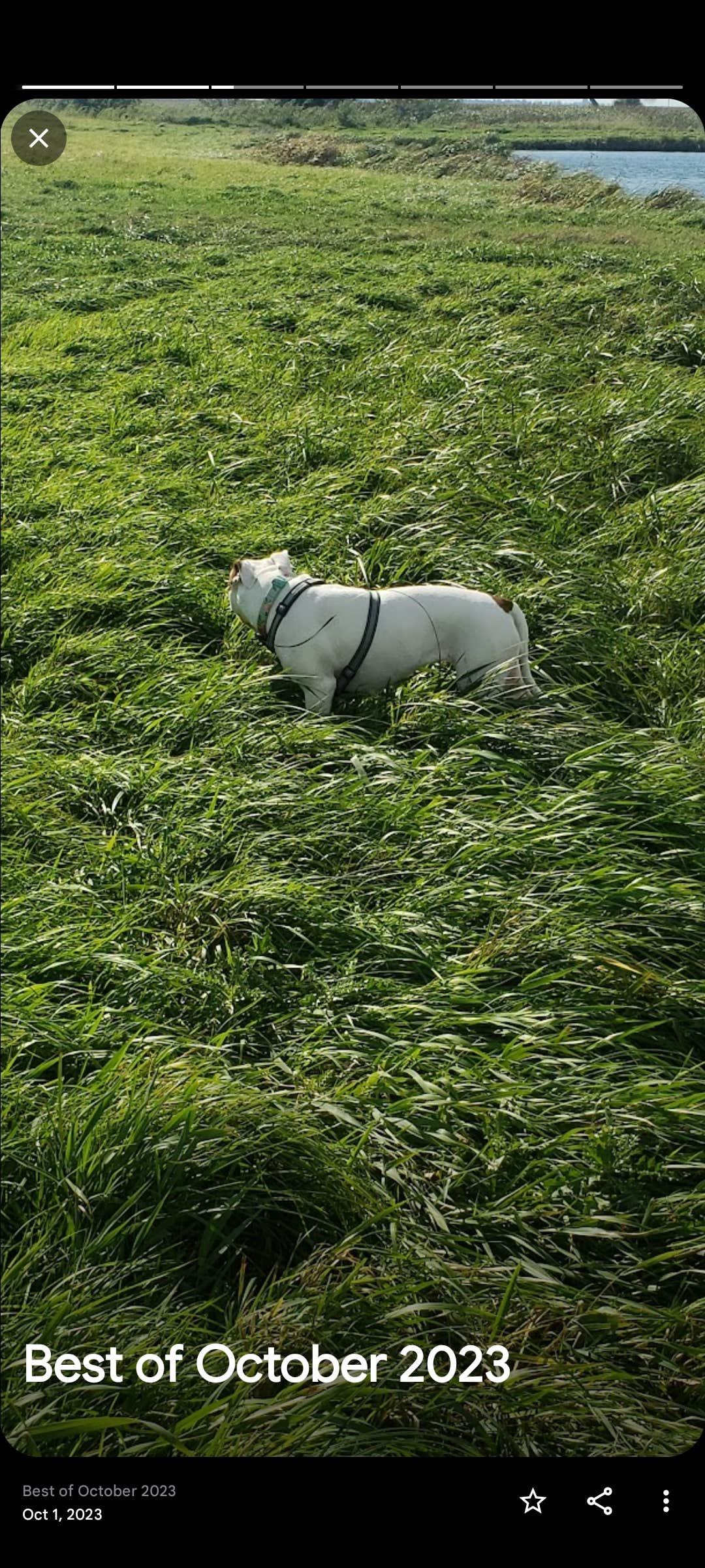 Camper-submitted photo at Brewer Lake Rec Area near West Fargo, ND