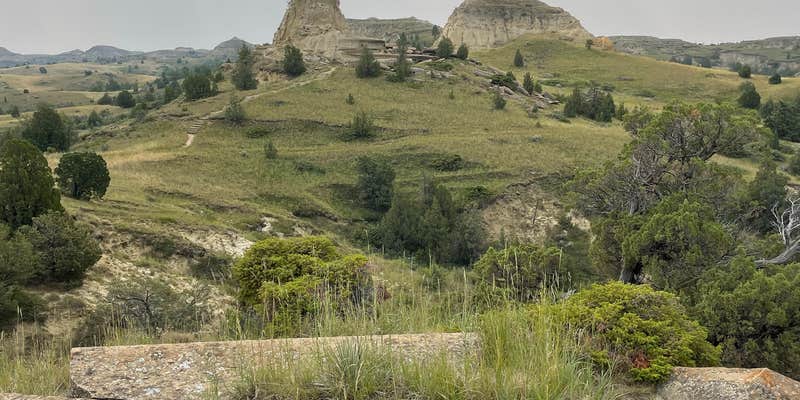 Camper submitted image from Burning Coal Vein Campground