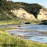 Review photo of Cottonwood Campground — Theodore Roosevelt National Park by Rebecca , July 30, 2026