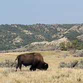 Review photo of Cottonwood Campground — Theodore Roosevelt National Park by Marion Z., August 18, 2026