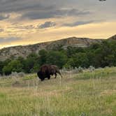 Review photo of Cottonwood Campground — Theodore Roosevelt National Park by Rebecca , July 30, 2026