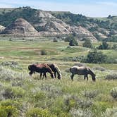 Review photo of Cottonwood Campground — Theodore Roosevelt National Park by Scott D., August 19, 2025