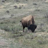 Review photo of Cottonwood Campground — Theodore Roosevelt National Park by Jean B., April 21, 2026
