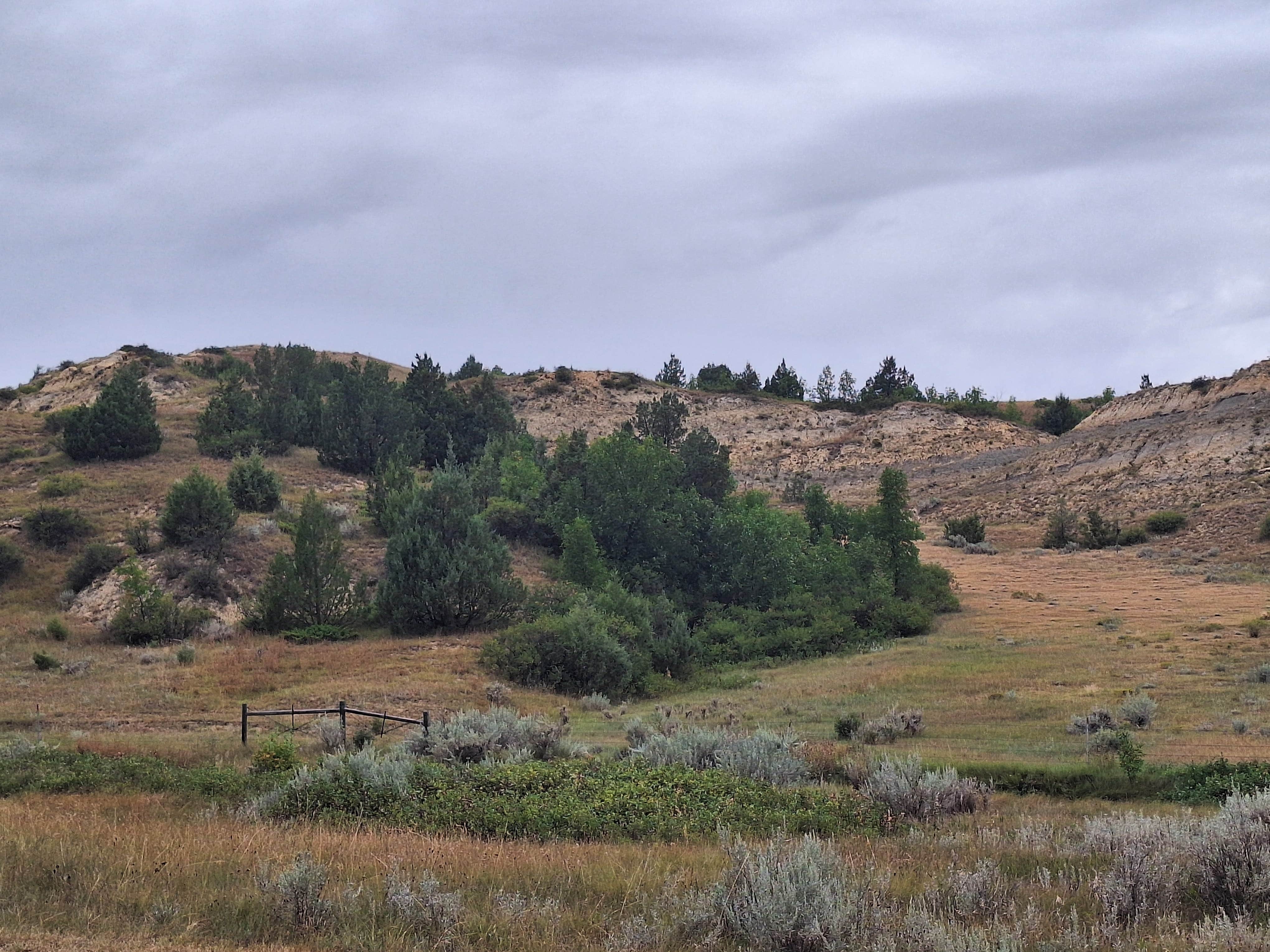 Camper-submitted photo at Elkhorn Campground near Dakota Prairie National Grasslands