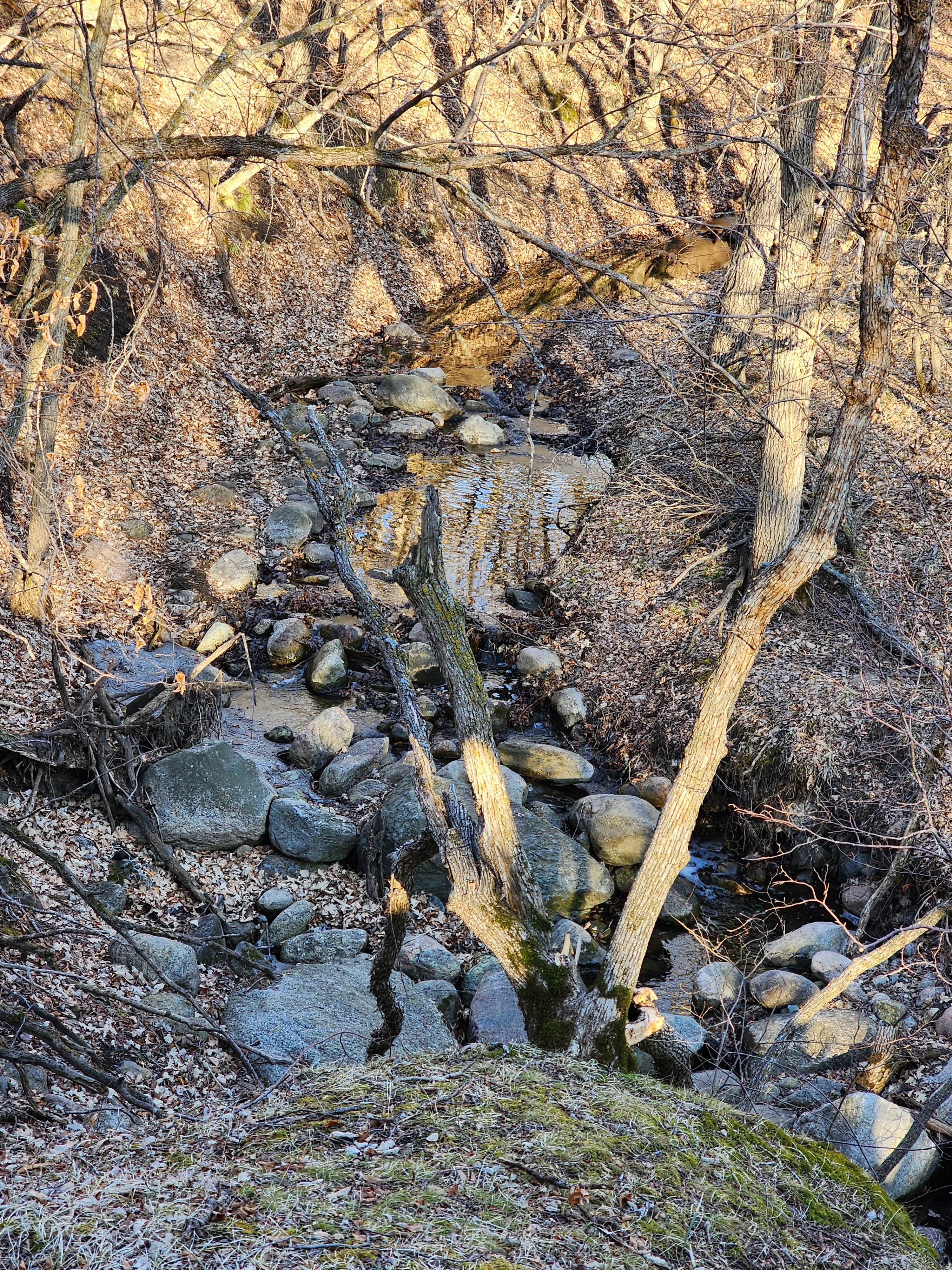 Camper-submitted photo at Fort Ransom State Park Campground near Leonard, ND