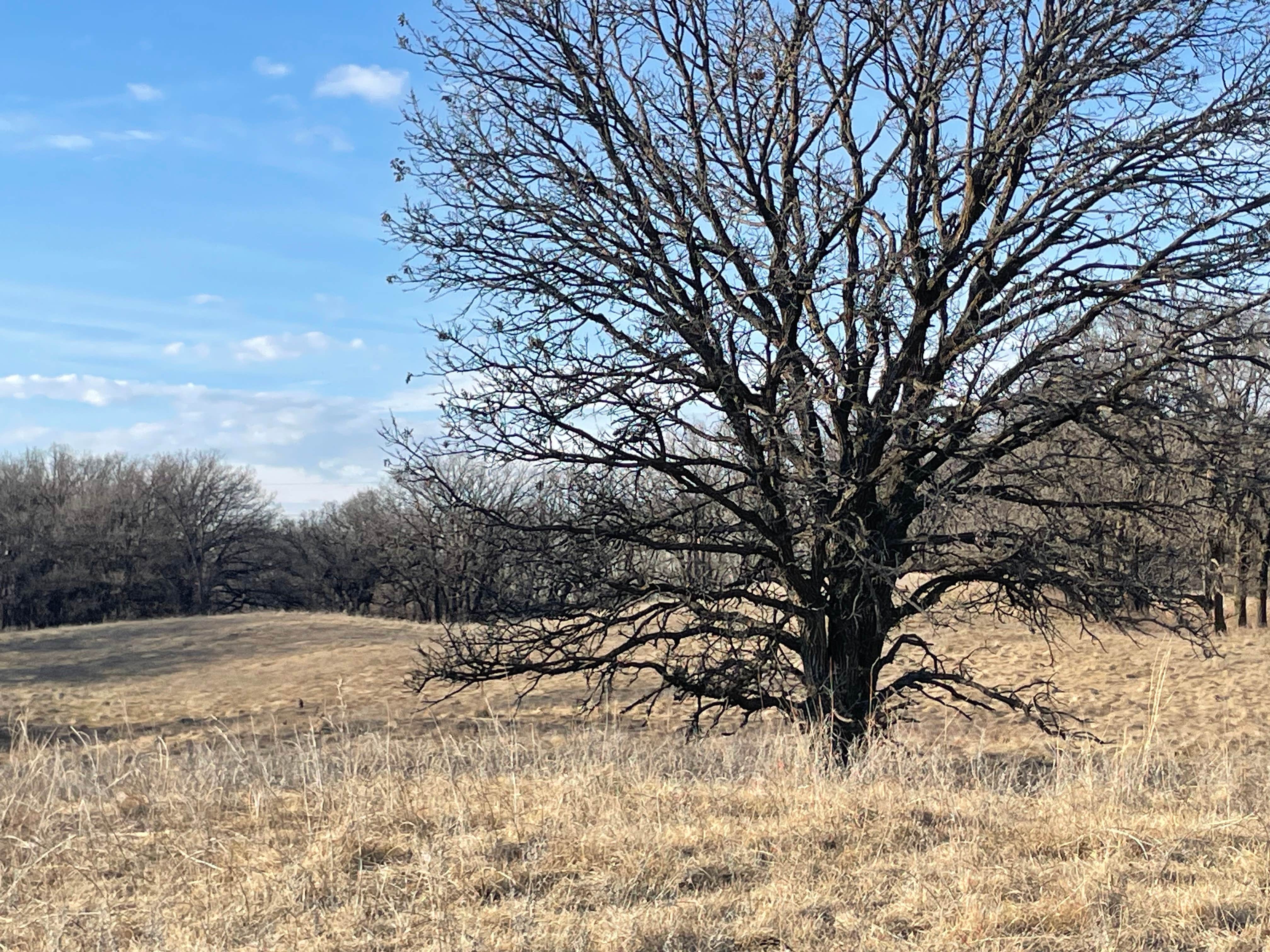 Camper-submitted photo at Hankinson Hills Campground near Wahpeton, ND