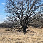 Review photo of Hankinson Hills Campground by Crystal B., March 26, 2026