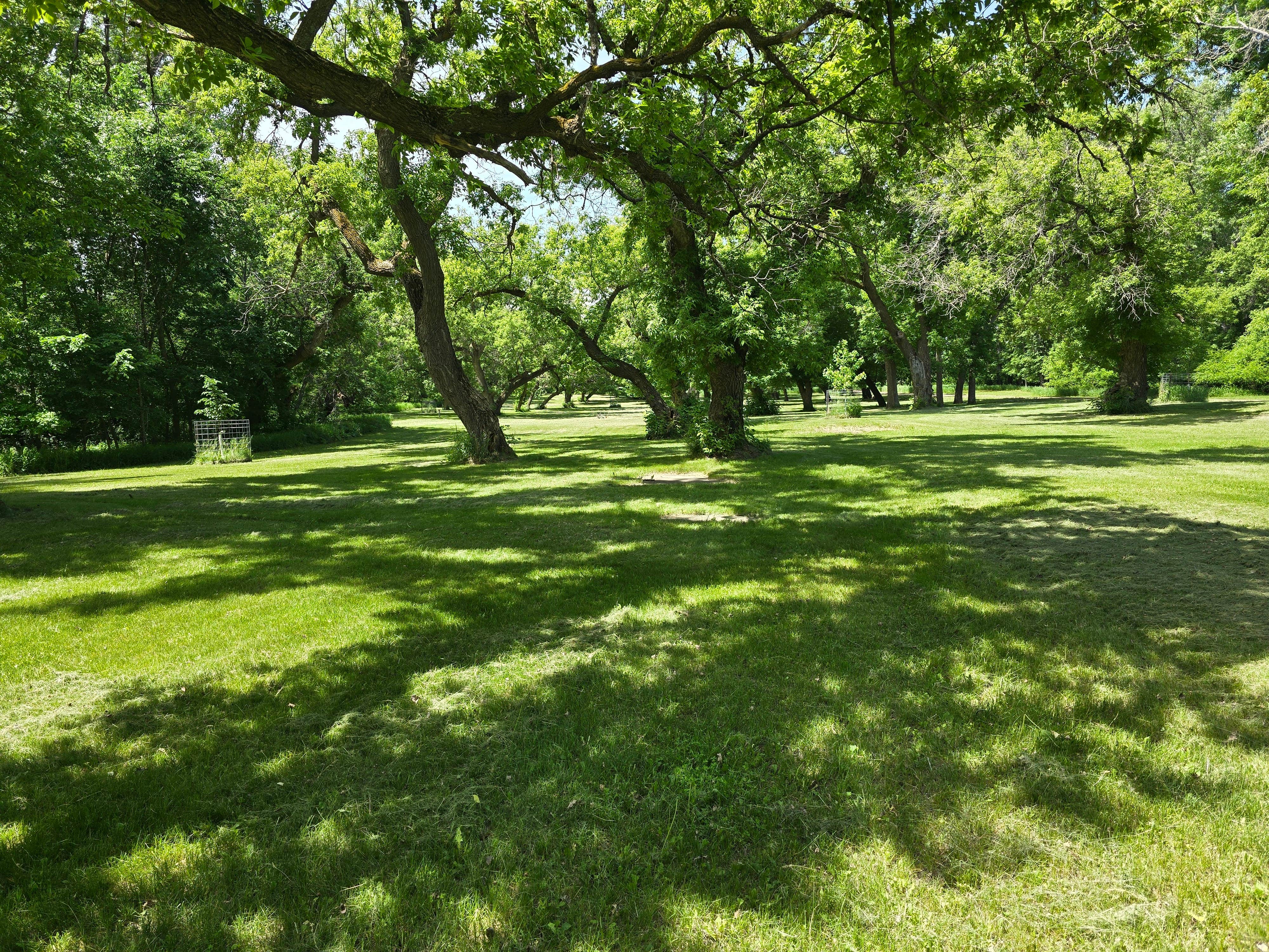 Camper-submitted photo at Hendrickson Park near Jamestown Reservoir
