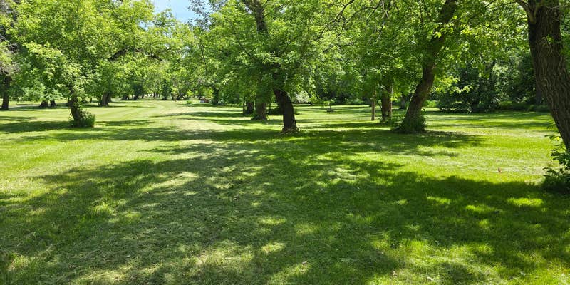 Camper submitted image from Hendrickson Park