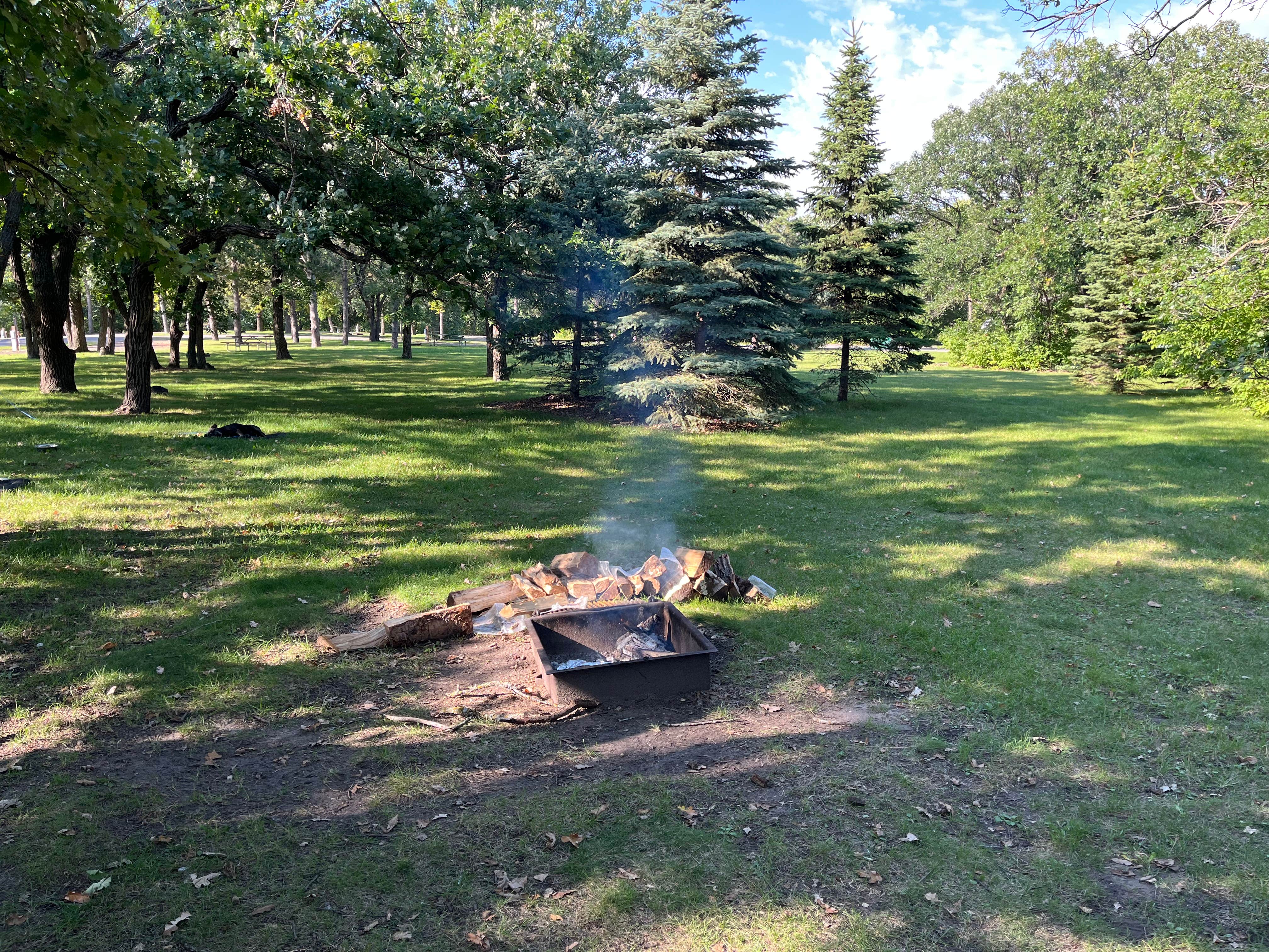 Trevor A.'s photo of camping with pets at Icelandic State Park Campground near Homme Lake