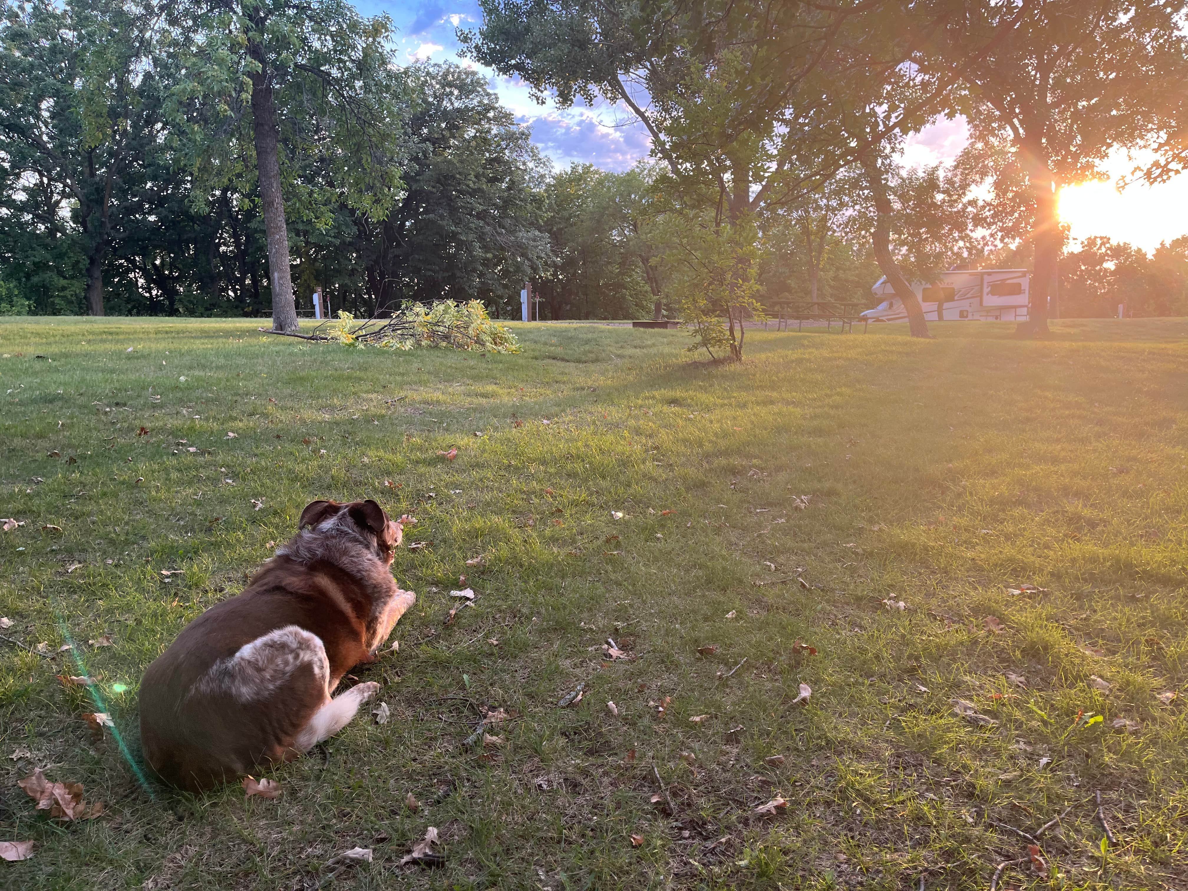 Trevor A.'s photo of camping with pets at Icelandic State Park Campground near Walhalla, ND