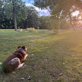 Review photo of Icelandic State Park Campground by Trevor A., August 23, 2025