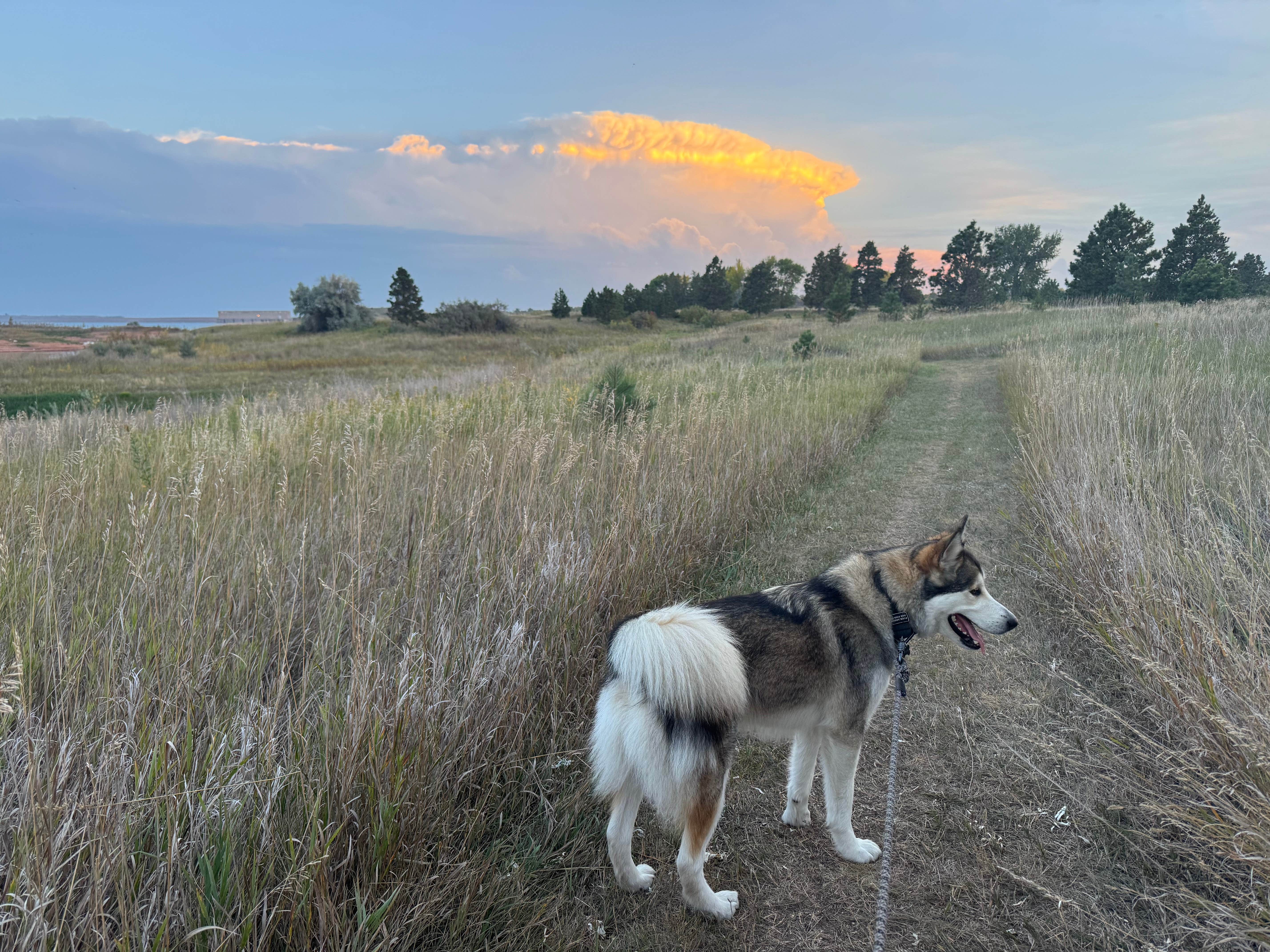 Cable A.'s photo of camping with pets at Lake Sakakawea State Park Campground near Garrison, ND