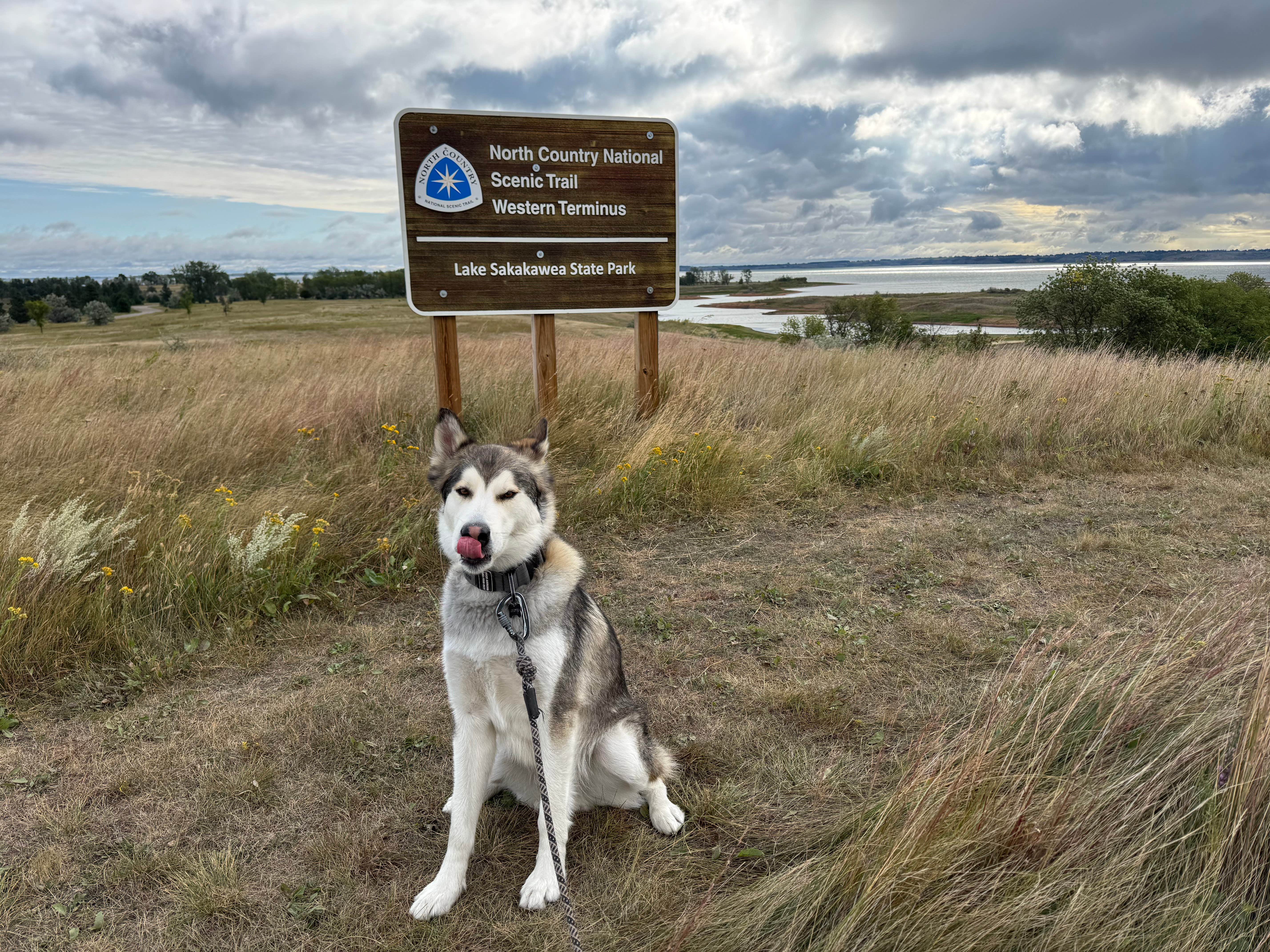 Cable A.'s photo of camping with pets at Lake Sakakawea State Park Campground near Hazen, ND