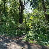 Review photo of Lindenwood Campground by Wayne K., May 9, 2026