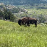 Review photo of Medora Campground by Beth B., July 24, 2025