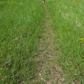 Review photo of Mel Rieman Rec by Teresa T., June 18, 2025