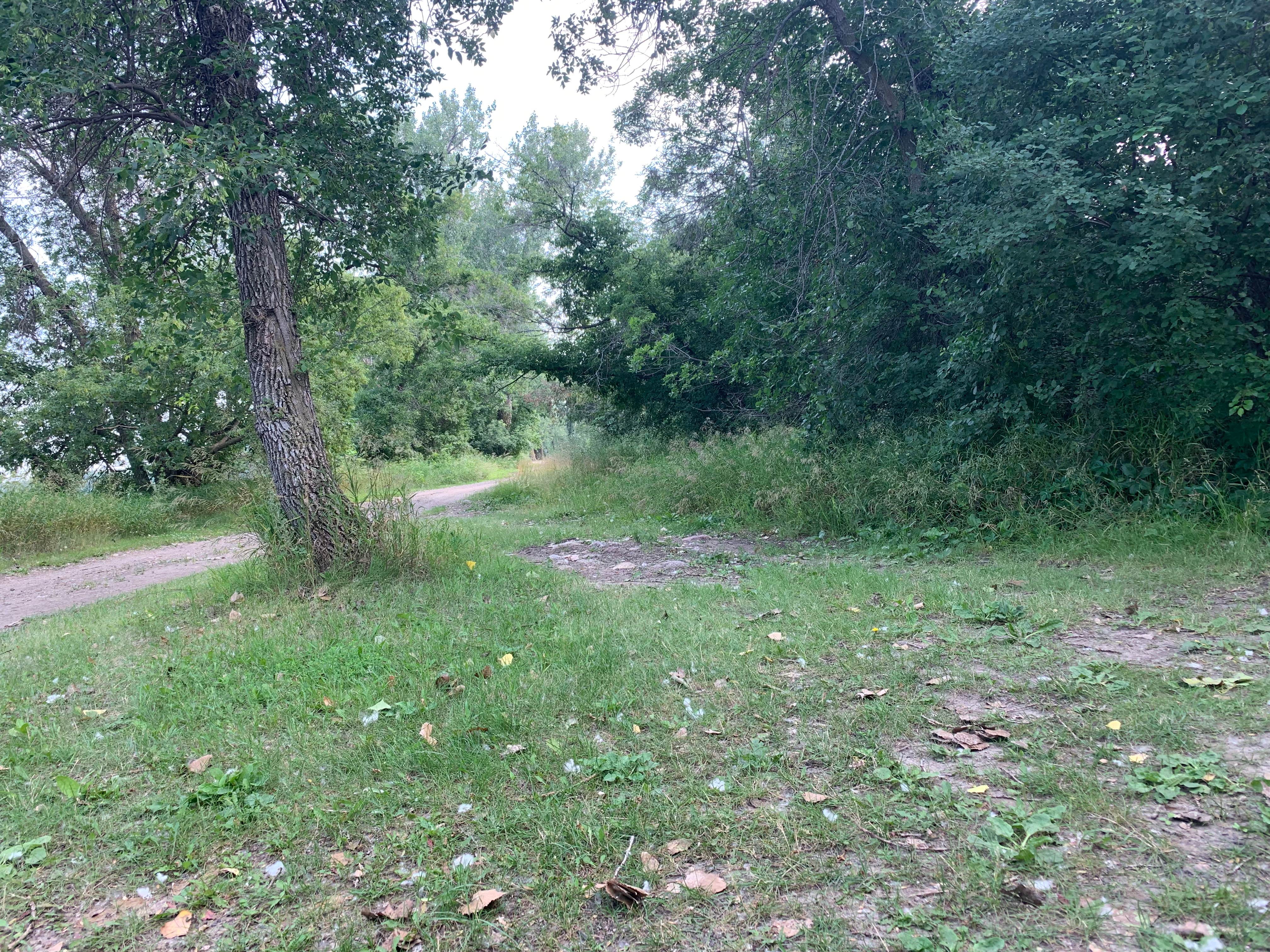 Camper-submitted photo at Sakakawea Park near Garrison, ND