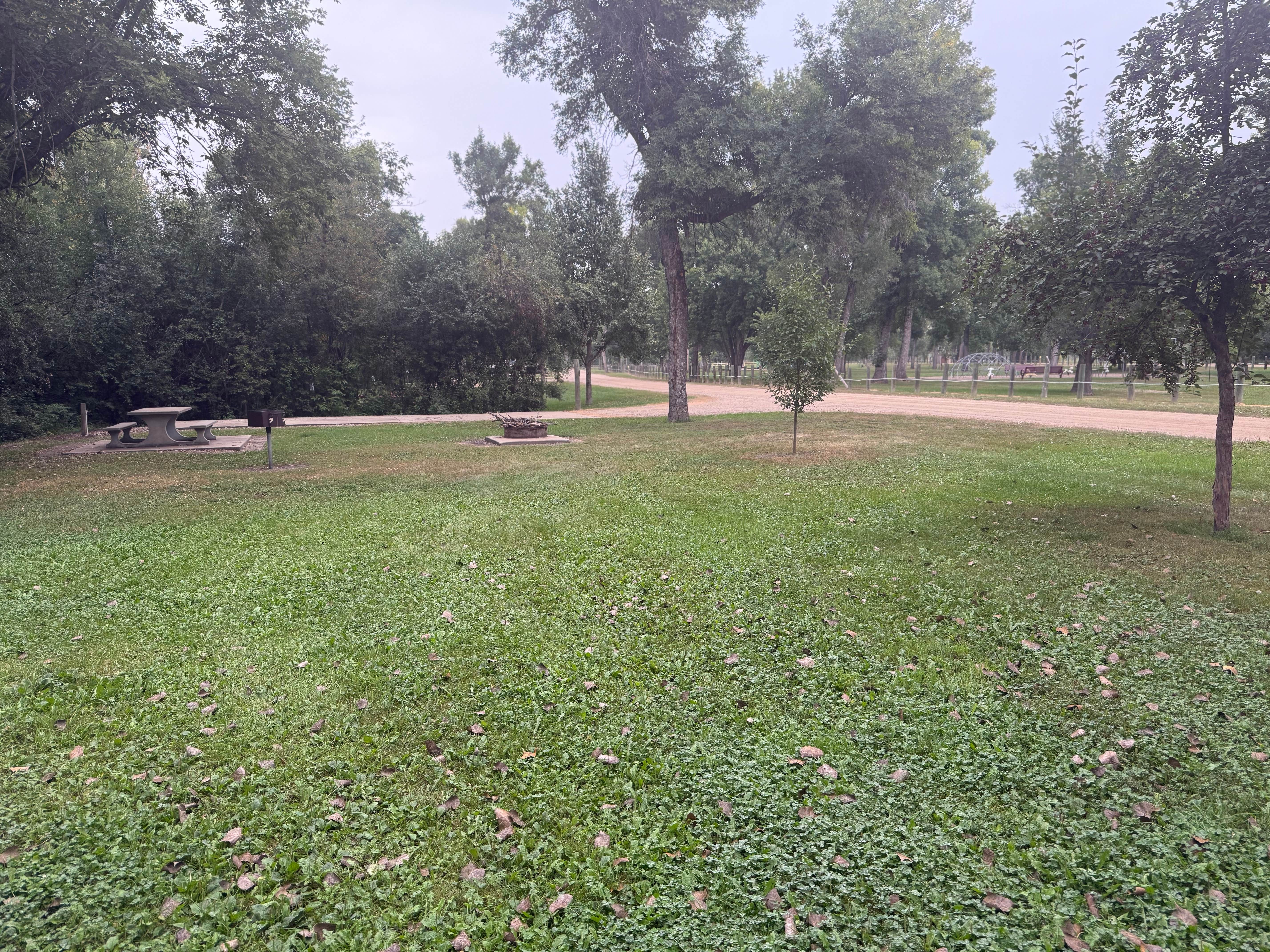 Camper submitted image from Sakakawea Park - 1