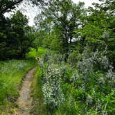 Review photo of Turtle River State Park Campground by Ellery K., July 24, 2024