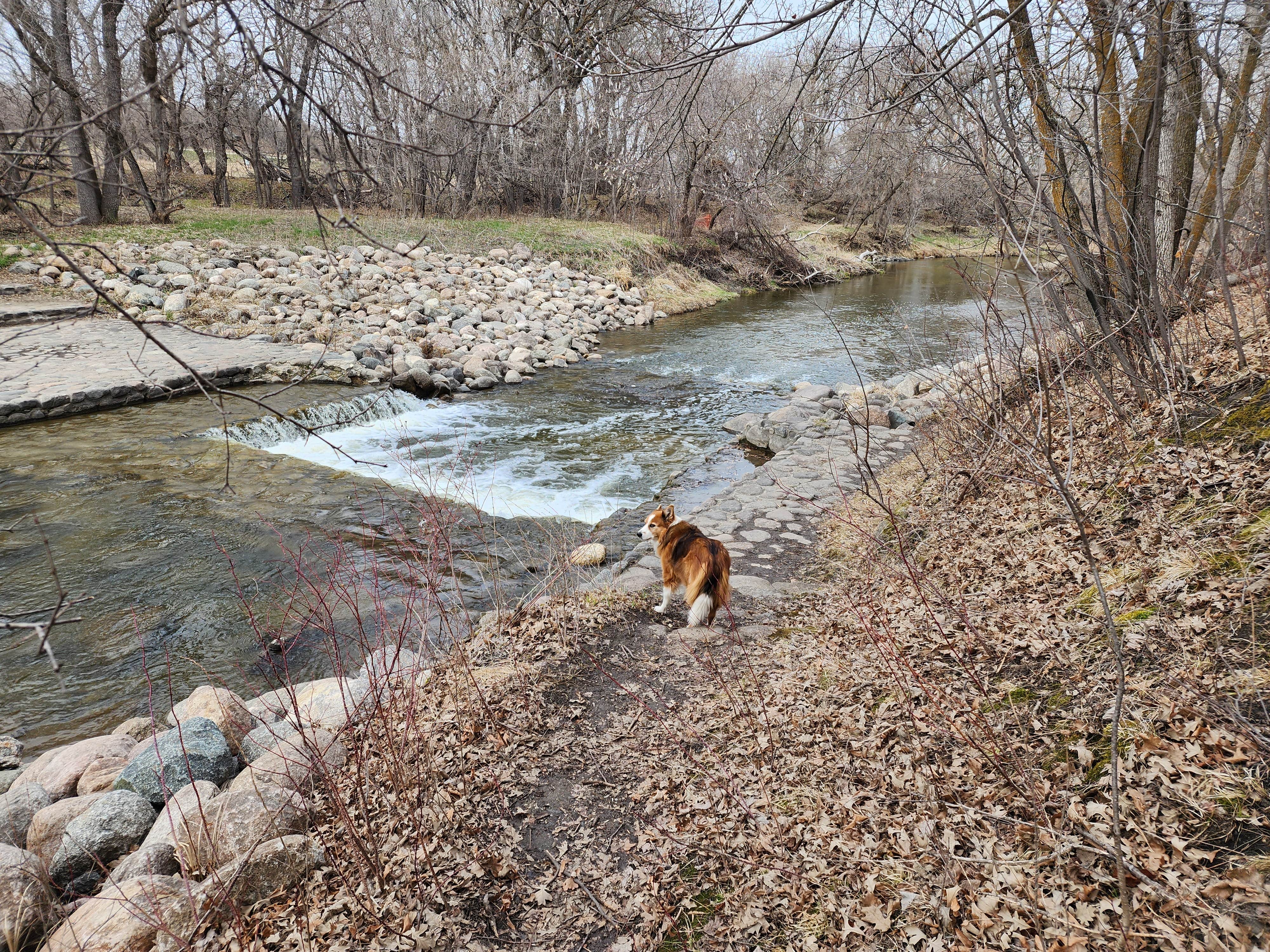 Teresa T.'s photo of camping with pets at Turtle River State Park Campground near Grand Forks, ND