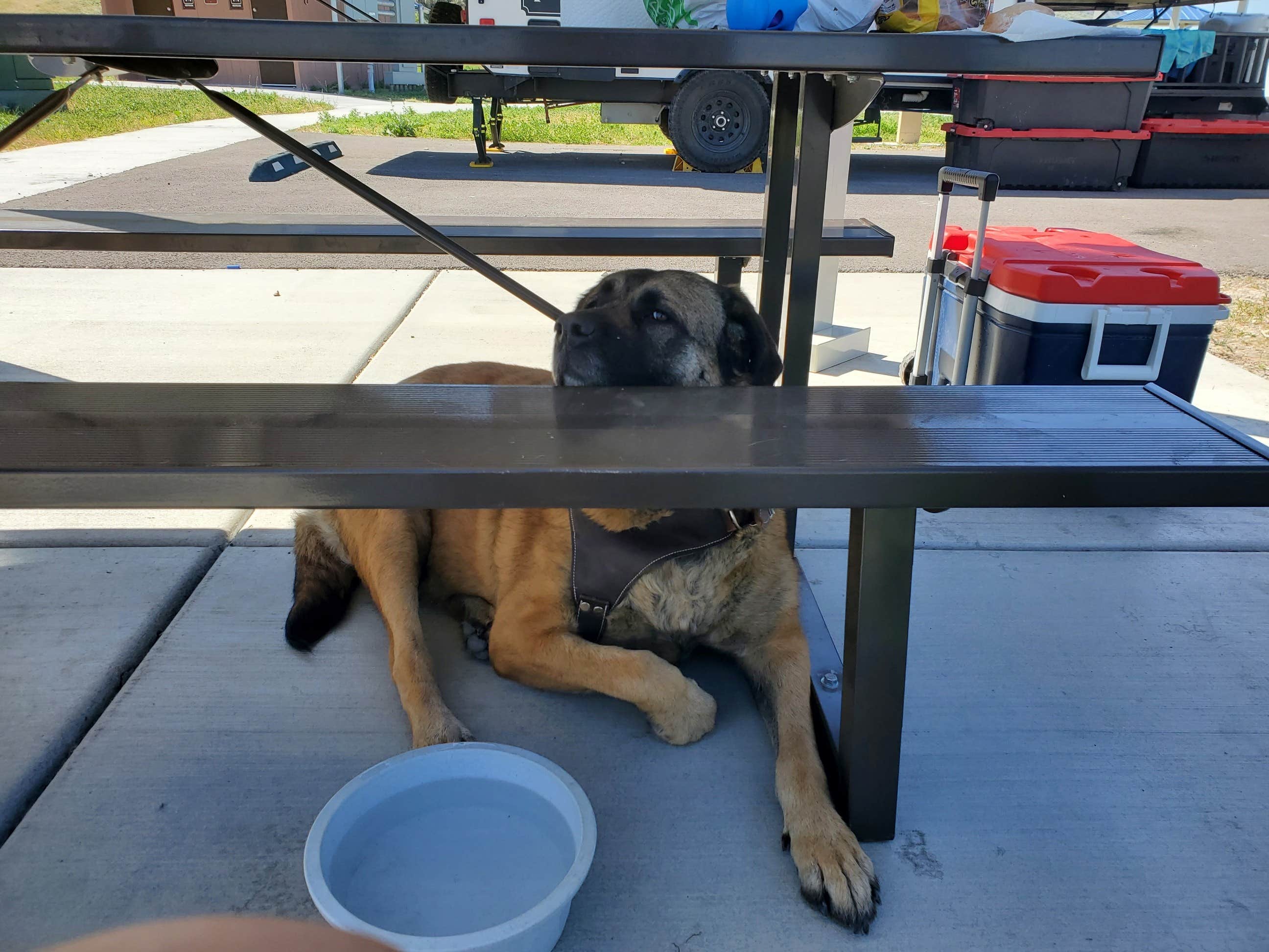 Camper-submitted photo at Border Campground — Bear Lake State Park near Cokeville, WY