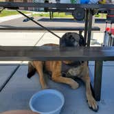 Review photo of North Eden Campground — Bear Lake State Park by Pat R., June 16, 2025