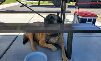 Pat R.'s photo of camping with pets at Border Campground — Bear Lake State Park near Lewiston, UT