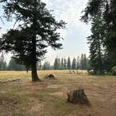 Review photo of North Elgin Dispersed Camp by Teresa A., July 30, 2026