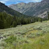 Review photo of North Fork Big Wood River dispersed #5 by Gia H., July 19, 2026