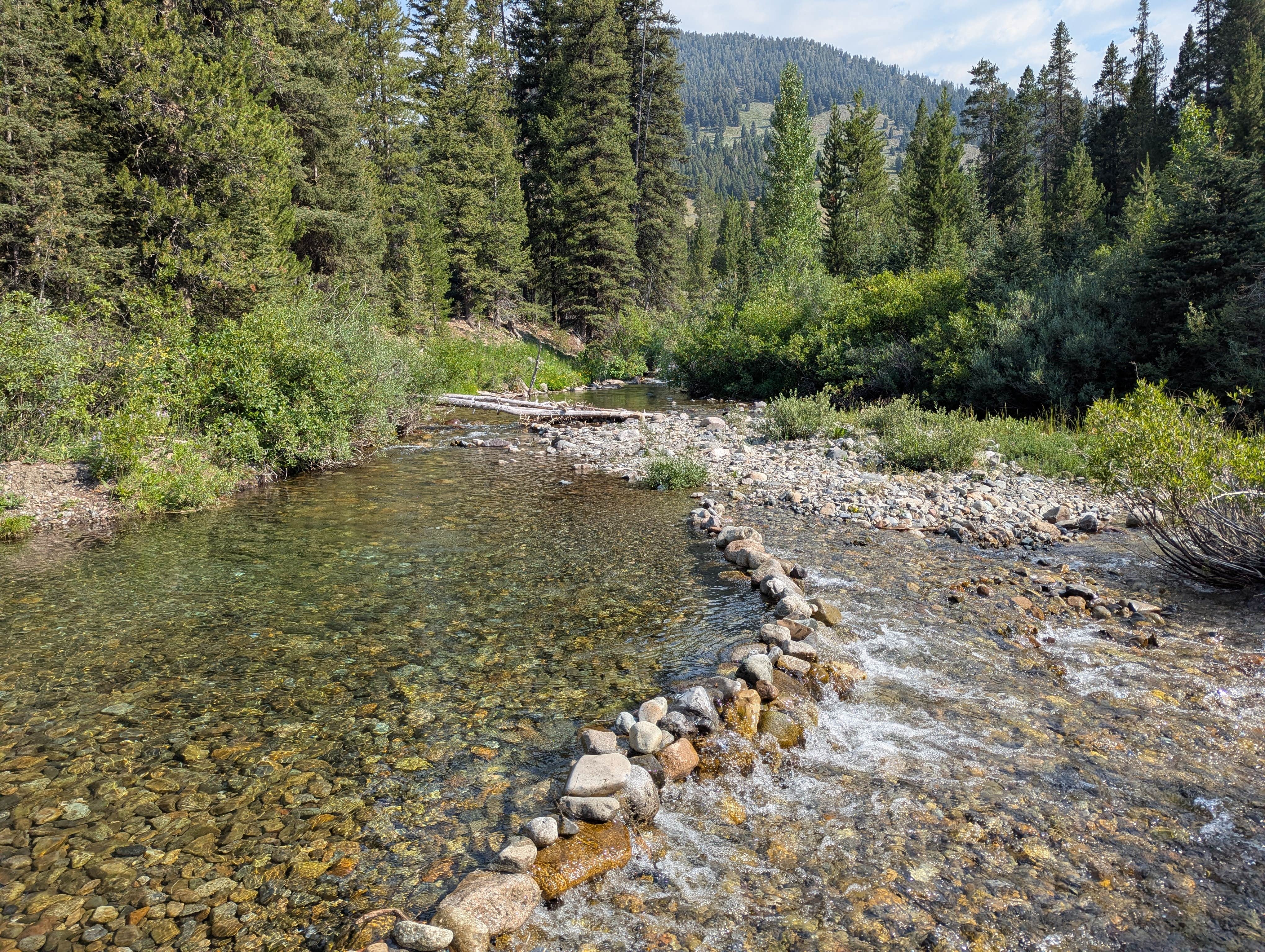 Camper-submitted photo at North Fork Big Wood River dispersed #5 near Sun Valley, ID