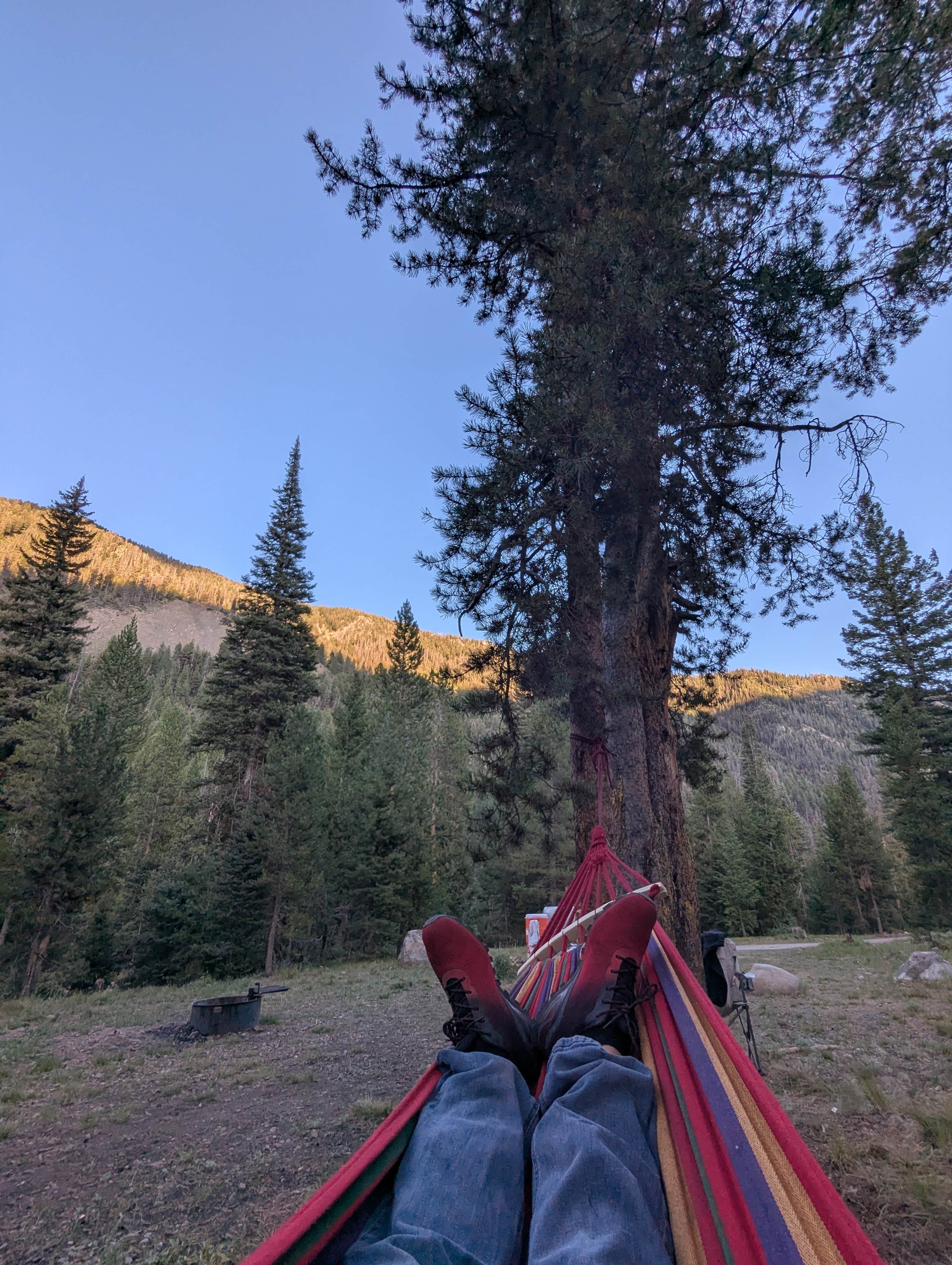 chad A.'s photo of a dispersed camping area at North Fork Big Wood River dispersed #5 near Corral, ID