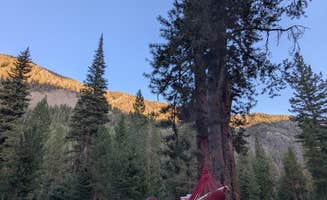 chad A.'s photo of a dispersed camping area at North Fork Big Wood River dispersed #5 near Fairfield, ID