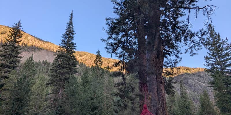 Camper submitted image from North Fork Big Wood River dispersed #5