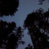 Review photo of North Fork Campground by Divina R., August 2, 2026