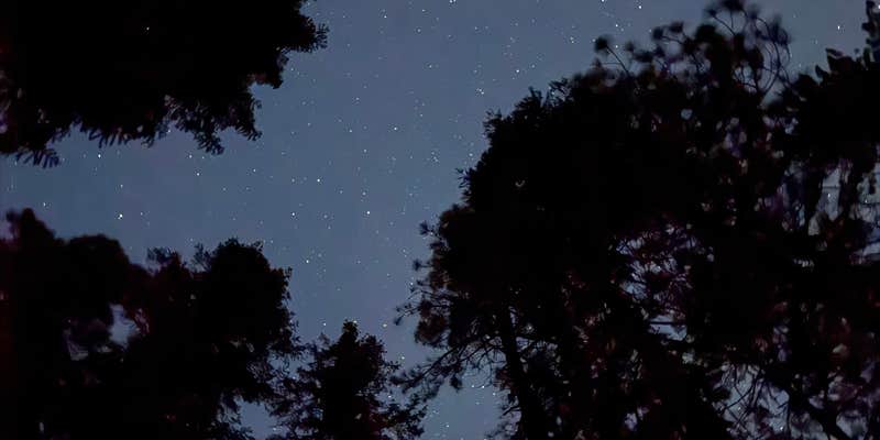 Camper submitted image from North Fork Campground