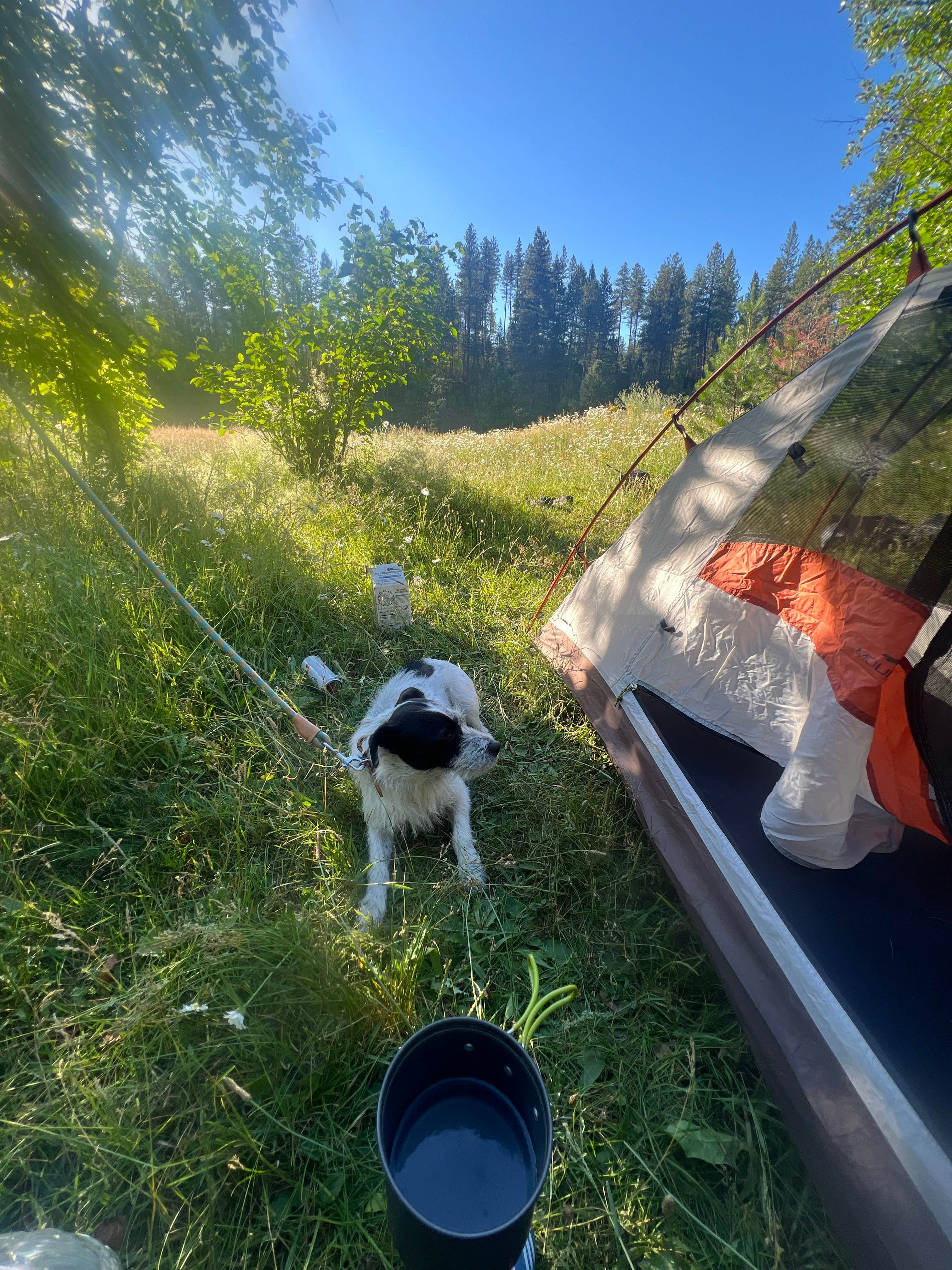 Camper-submitted photo at North Fork Chewelah Creek near Rathdrum, ID