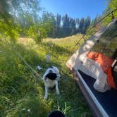 Review photo of North Fork Chewelah Creek by Hailey I., July 13, 2025