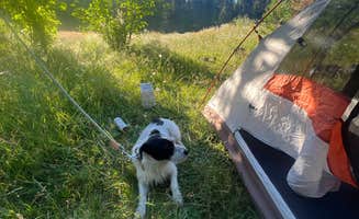 Hailey I.'s photo at North Fork Chewelah Creek in Washington