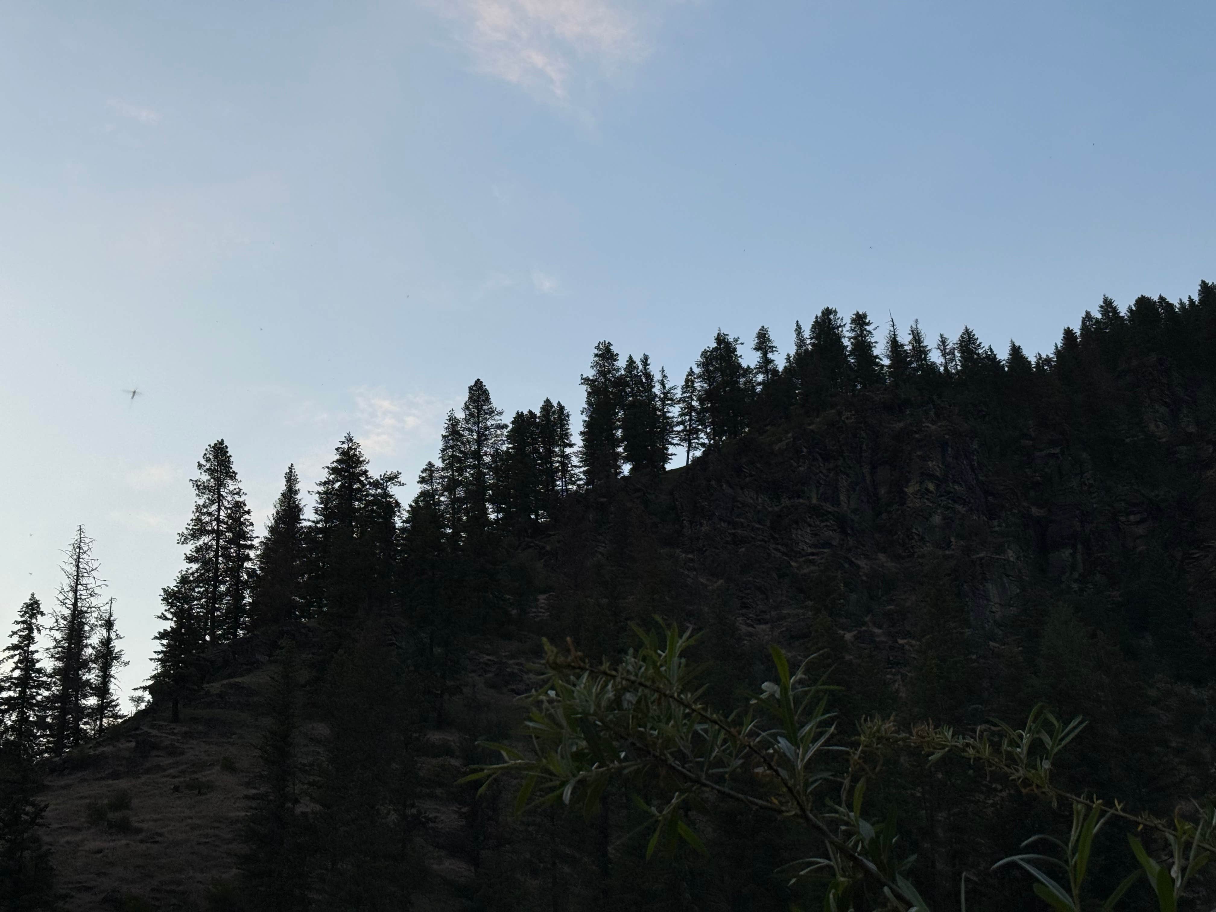 North Fork Coeur D'Alene River