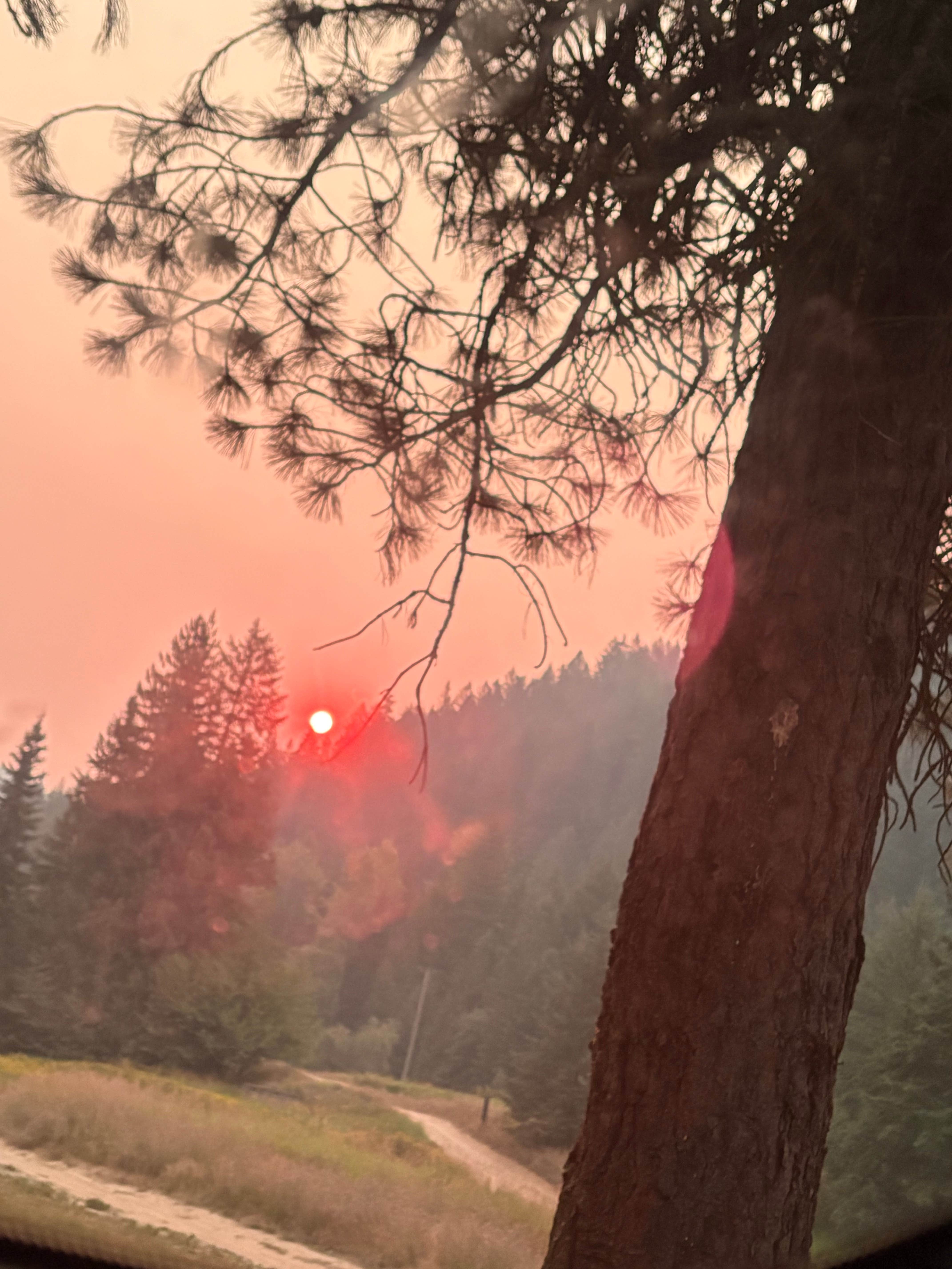 Emily E.'s photo of a dispersed camping area at North Fork Coeur D'Alene River near Saltese, MT