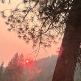 Review photo of North Fork Coeur D'Alene River by Emily E., August 10, 2026