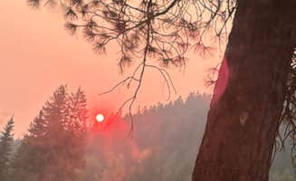 Emily E.'s photo of a dispersed camping area at North Fork Coeur D'Alene River near Saltese, MT