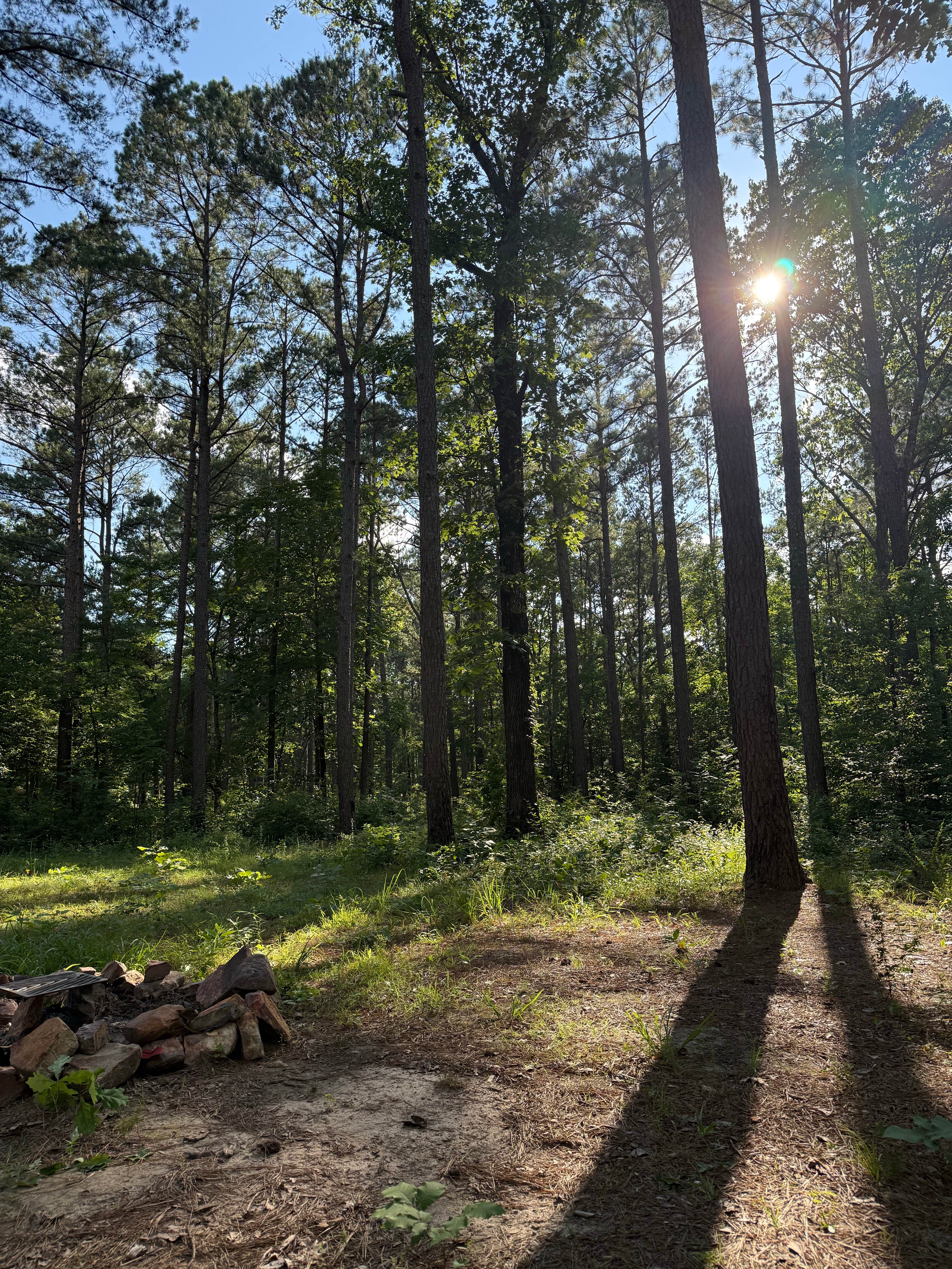 Joy J.'s photo of a dispersed camping area at North Fork Creek Rd (FR779) Dispersed near Norman, AR