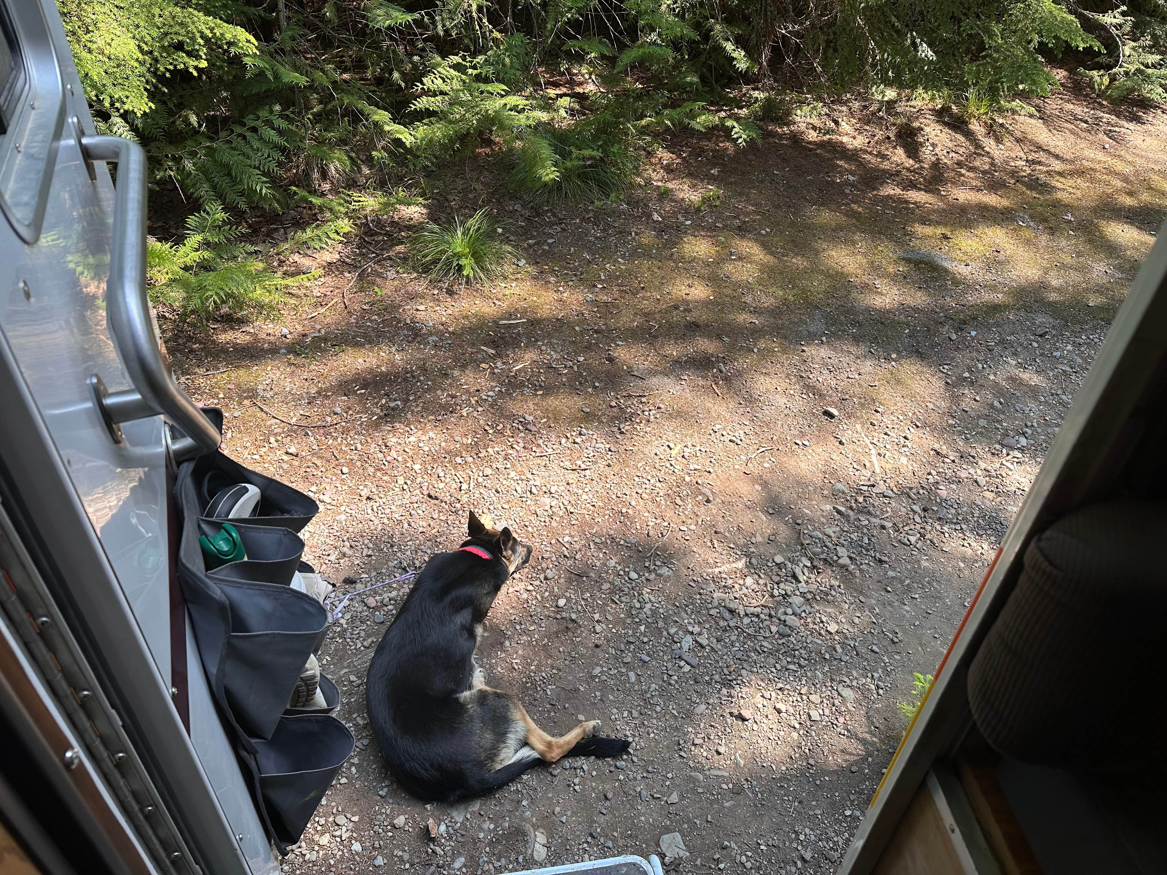 Camper-submitted photo at North Fork Flathead River Camp near Polebridge, MT
