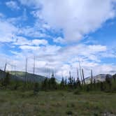 Review photo of North fork Flathead River dispersed camping by Abreon T., June 15, 2024