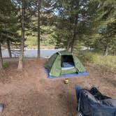 Review photo of North fork Flathead River dispersed camping by brandon W., October 5, 2024