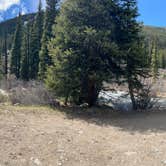 Review photo of North Fork Lake Creek Dispersed by Francois T., May 24, 2025