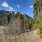 Review photo of North Fork Lake Creek Dispersed by Francois T., May 24, 2025